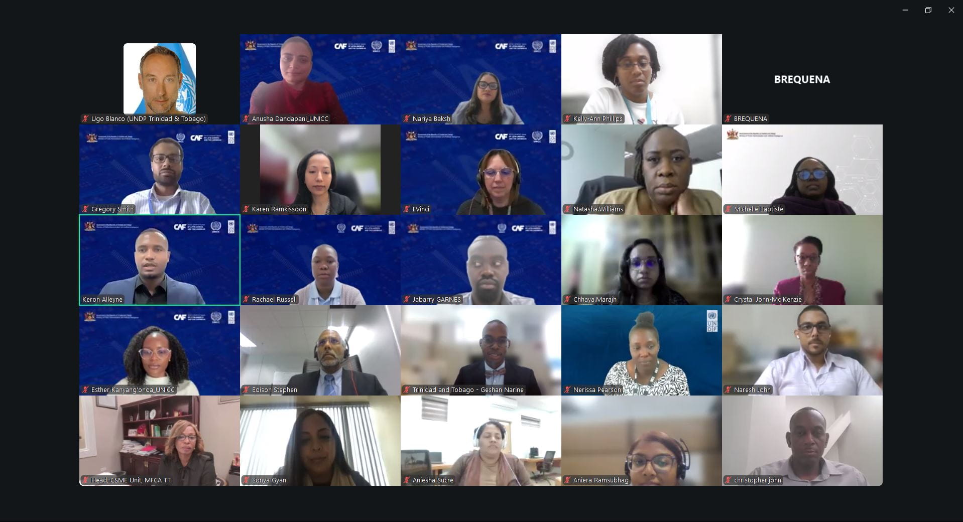 AI Academy Launch via Zoom